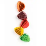 Philadelphia Candies Milk Chocolate Fall Leaves Thanksgiving Foil Wrapped Candy