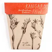 Kangaroo Paw Gift of Seeds - Sow 'n Sow