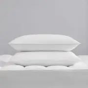 So Fluffy! 230TC Plush Feather Standard Pillow (Set of 2)