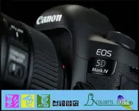 在飛比找Yahoo!奇摩拍賣優惠-彩色鳥(二手出清)租 Canon EOS 5D mark I