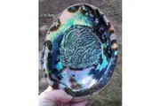 Crystal Wonderland Abalone Shell Polished Large 15cm