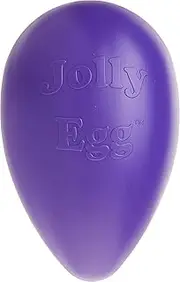 Jolly Pets Jolly Egg Plastic Dog Chew Toy 8 inch Purple