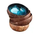 Vintage Home Decor Candy Dishes Coconut Shell Bowls Storage Container Tableware