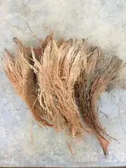 Coconut Husk 100% Natural Fiber Growing for Anthurium & Orchids