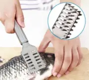 Stainless Steel Fish Scaler Brush – Scale Scraper & Skin Remover Seafood Tool