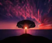 TREE AT SUNSET OCEANS EDGE COMPUTER MOUSE PAD 9 x 7