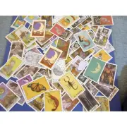 Lot of 96 TAROT CARD Assorted Skateboard Stickers