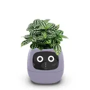 Smart Planter Flowerpots Pet AI Intelligent Multiple Expressions 7 Sensors Chips Easy Fun Raising Plants Living Room Purple Home Decor Tech
