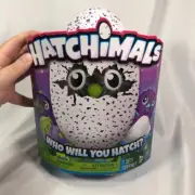 Hatchimals Draggle - Purple/Blue FREE SHIPPING