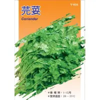 在飛比找momo購物網優惠-【翠筠用品】蔬菜種子C組