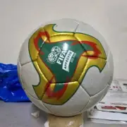 Fevernova Pearl Football Fifa World Cup 2002 Official Match Soccer Ball Size 5
