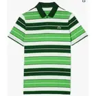 Lacoste Men's Short Sleeve Regular Fit Golf Polo Sorrel/Flour-Green XXL