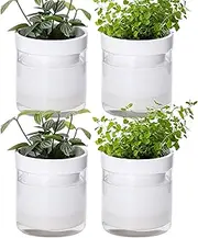Phoenix Vine 4 Inch Self Watering Planter, White Terracotta Clay Pot with Glass Reservoir for Indoor Plants, Herbs, Flowers, Set of 4, 52-B-E-4