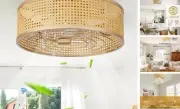 Boho Caged Ceiling Fan with Light, 20'' Rattan Flush Mount Ceiling Fan with