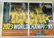 Netball World Cup Diamonds 2023 Cape Town Champions Colour Poster