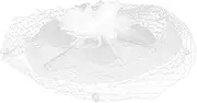 [Ipetboom] Fascinator Headband Mesh Yarn Veil Hat Tea Party Headpiece Elegant Bridal Headwear White