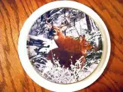 SNOWBOUND - D 4882 - BOB TRAVERS - COLLECTABLE PLATE