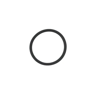 Intex 28673EG O-Ring A Seal Gasket for Swimming Pool Filter Pump
