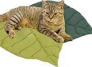 Reversible Fluffy Pet Mat - Ultra Soft Non-Slip Floor Pad for Dogs/Cats, Cute Cartoon Design Thermal Bed, Washable Indoor Dog Cat Bed Accessories