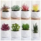 Cactus Artificial Succulent Evergreen Bonsai Plants Small Potted Plants Home