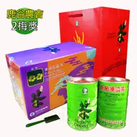 在飛比找蝦皮商城優惠-2023冬季│二梅【龍源茶品】鹿谷農會比賽茶1斤盒組(600