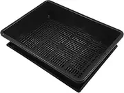 Mipcase 1 Set Succulent Seedling Tray Miniature Plants Electric Pressure Cooker Accessories Voltage Cooker Sealing Ring Figurine Plants Pot Holders Goose Egg Stone Wallpaper Black Plastic