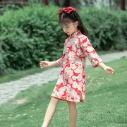 Kid Girl Chinese Han Clothing Hanfu Cheongsam Flower Blossom Pattern Qipao Skirt