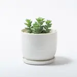 【日本KINTO】PLANT POT 193陶瓷花盆11CM/14CM-共2色《WUZ屋子》KINTO花器