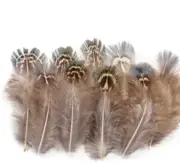 Natural Green 5cm Pheasant Feathers 20 - 100pcs DIY Art Craft Fly Tying Fishing