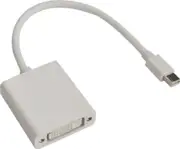 Astrotek Mini DisplayPort DP to DVI Cable 20cm 20 Pins Male to 24+5 Pins Female