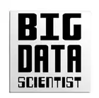 Big Data Scientist Retro Programming Language Joke Best Idea Gift Fridge Magnet