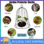 10PCS Chicken Wire Plant Covers Plant Sturdy Protector Cloche Garden Protection