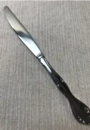 2 Oneida Cantata Stainless Dinner Knives NEW!