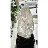 在飛比找蝦皮購物優惠-20.5kg 白骨幹水晶 鱷魚骨幹水晶