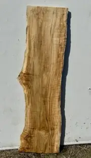Z24 Tiger Maple Burl Live Edge Slab 39x11.5x1.18 Flame Curly Crafting 8%mc