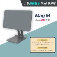 在飛比找蝦皮商城優惠-ADAM亞果元素 Mag M iPad Pro 11吋 / 