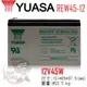 YUASA湯淺REW45-12閥調密閉式鉛酸電池 12V45W UPS不斷電系統 消防系統 兒童電動車 玩具車