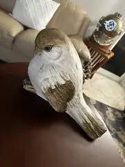 Bird Decor