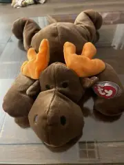 ty beanie babies chocolate the Moose NWT