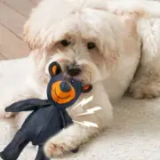Dogs Pet Soft Plush Black Teddy Bear Toys Squeaky Durable Chew Polyester