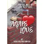 REBUILDING THE WALL OF AGAPE LOVE IN 52 DAYS