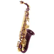 HOLIDAY SALE! "Sky" Alto Saxophone w Wonderful Versatile Case LIMITED TIME