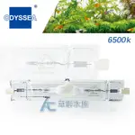 【AC草影】ODYSSEA 奧德賽 HQI金屬鹵素燈泡 6500K（150W）【一個】