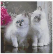 Cross Stitch Pattern Hannah and Louise Kittens X Stitch Gwen St Designs