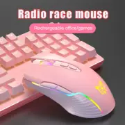 Wireless Gaming Mouse RGB Lightning 6 Gear DPI with USB Receiver Rechargeable