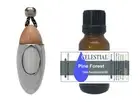 AROMA BULLET CAR DIFFUSER HANGER + 15ml PINE FOREST THERAPEUTIC ESSENTIAL OIL
