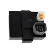 CDI Ignitor Module Fits CF Moto 500cc Quad Bike ATV