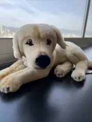 VINTAGE STUFFED DOG Steiff Golden Retriever LABRADOR LAB AMERICAN KENNEL CLUB