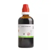 BJain Agave Americana 1X (Q) Mother Tinctures (100ml)