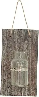 BESPORTBLE 1PC Creative Wall Vase with Vintage Wooden Board Glass Hydroponic Container for Home Decor for Hydroponic Planting Decoration for Bedroom Living and Office